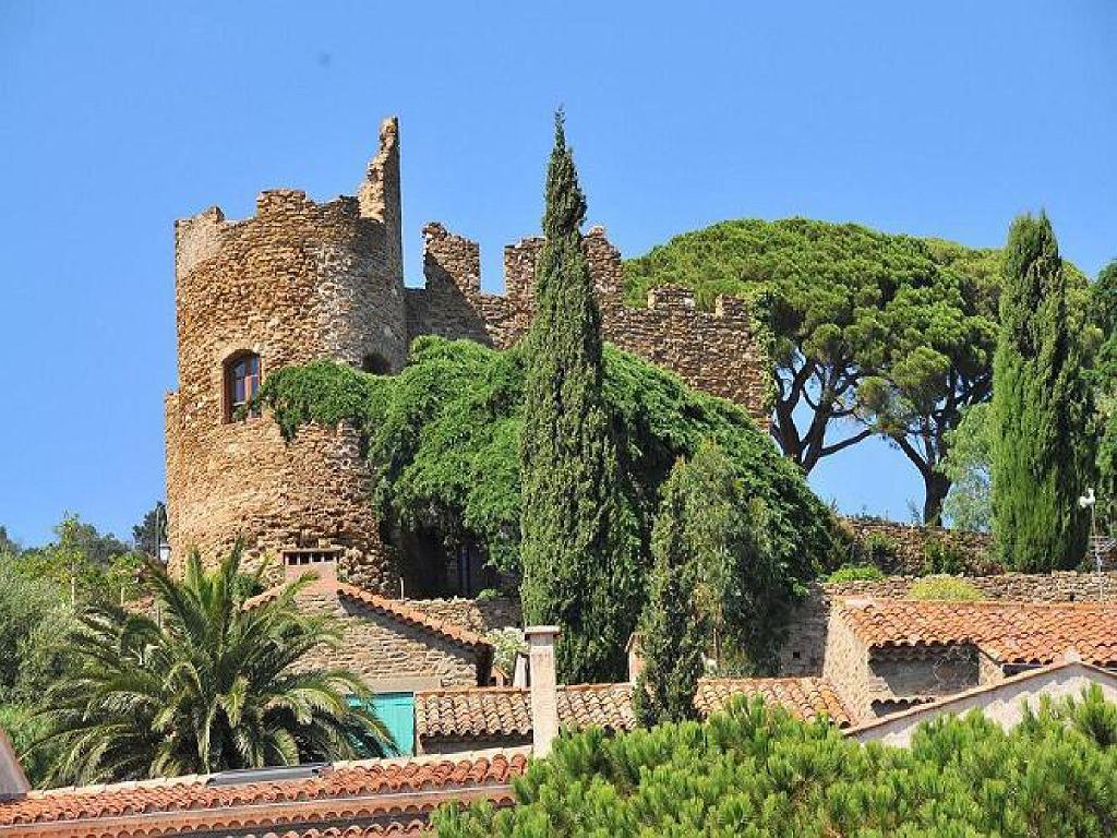 183 D24 BORMES LES MIMOSAS 2_000019.jpg